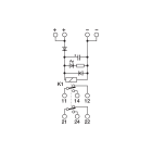 CABUR - Modulo rele elettromeccanico 24VAC/DC DPDT 10A a vite, estraibile 2SC 8A.