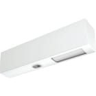 BPT - PXDTCB rivelatore DT a tenda bianco.