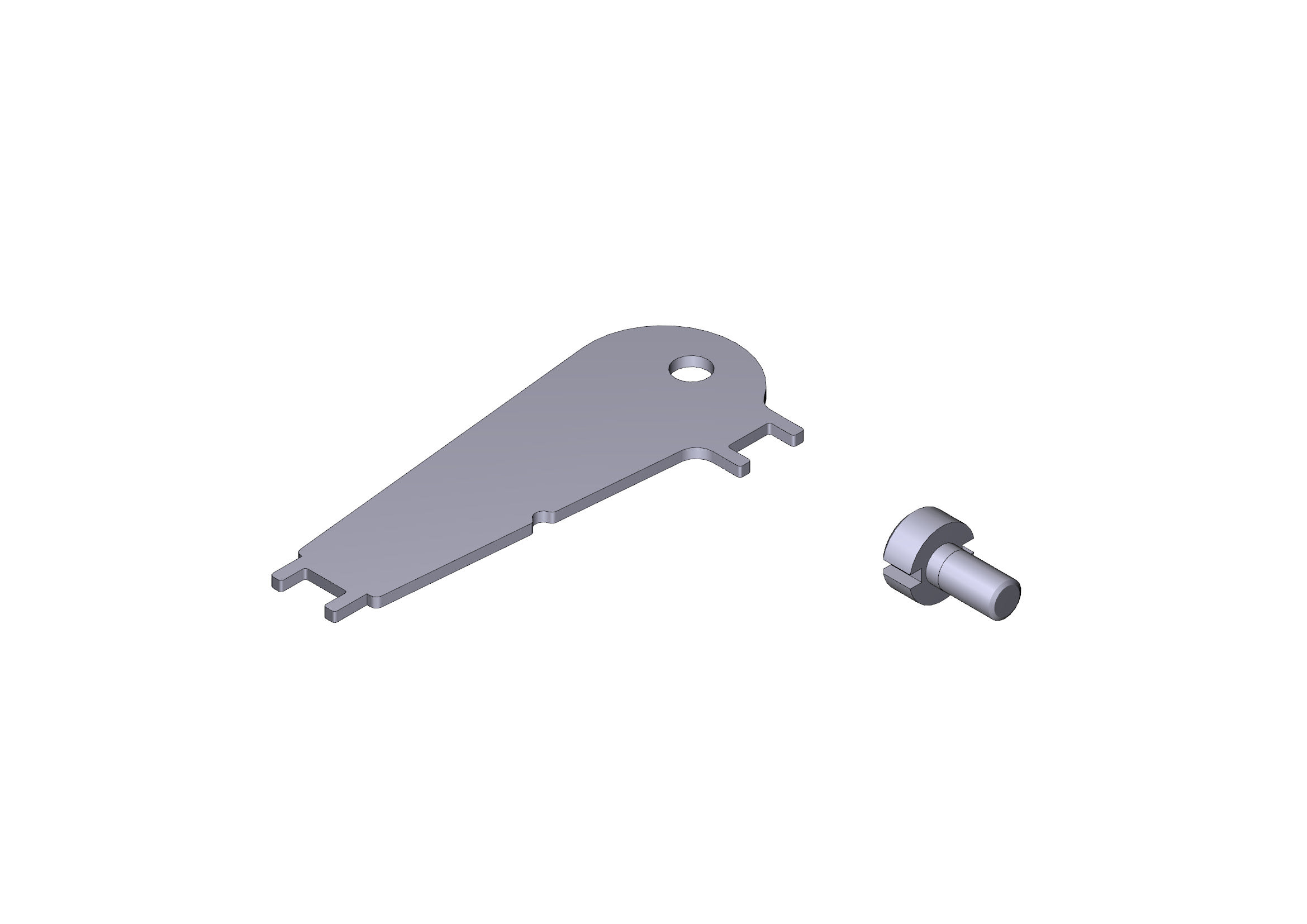 CAME - Chiave e viti per chiusura MTMTP.MVR, set da 5 pezzi.