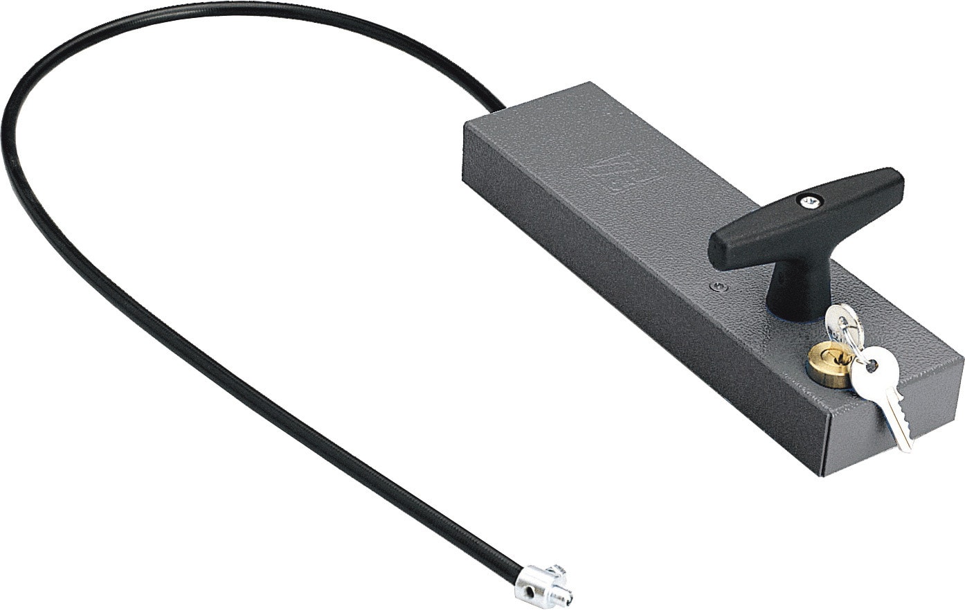 CAME - Maniglia di sblocco con chiave personalizzata e cordino di rinvio lunghezza 7 m. 001CMS