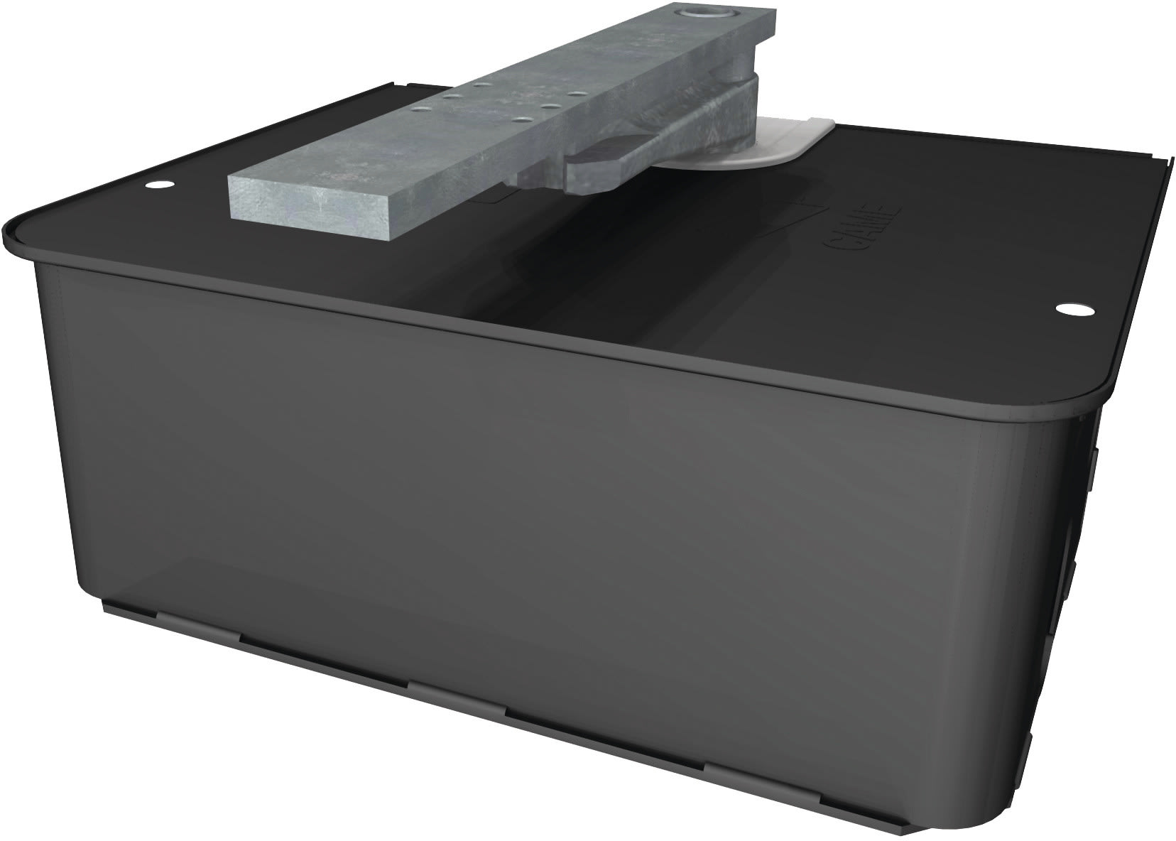 CAME - Cassa di fondazione per strutture edili e lavori di costruzione. 001FROG-CFN