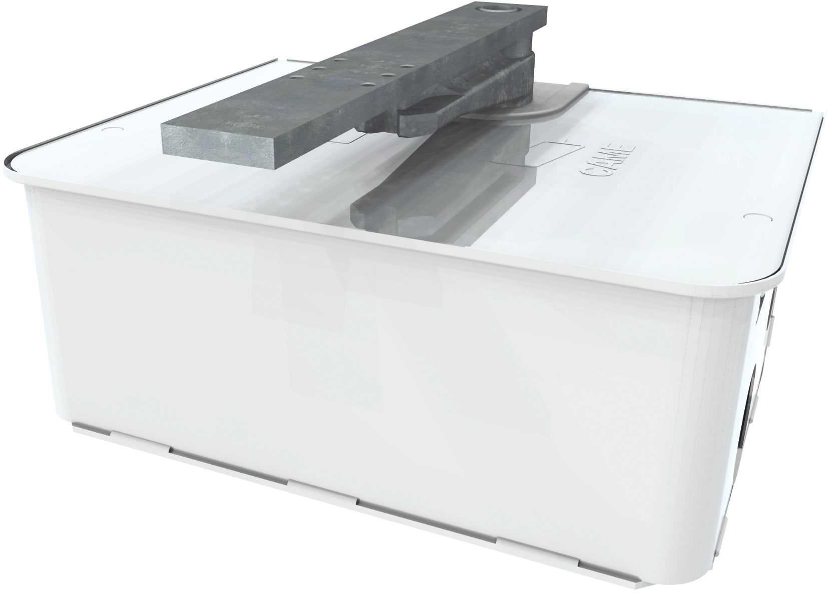 CAME - Cassa di fondazione in acciaio inox AISI 304 con leva di aggancio sblocco, staffa di fissaggio al cancello e vite per regolazione del finecorsa. 001FROG-CFNI