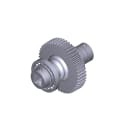 CAME - Albero lento - Ferni: un albero lento e resistente, perfetto per creare un'atmosfera rilassante in giardino.