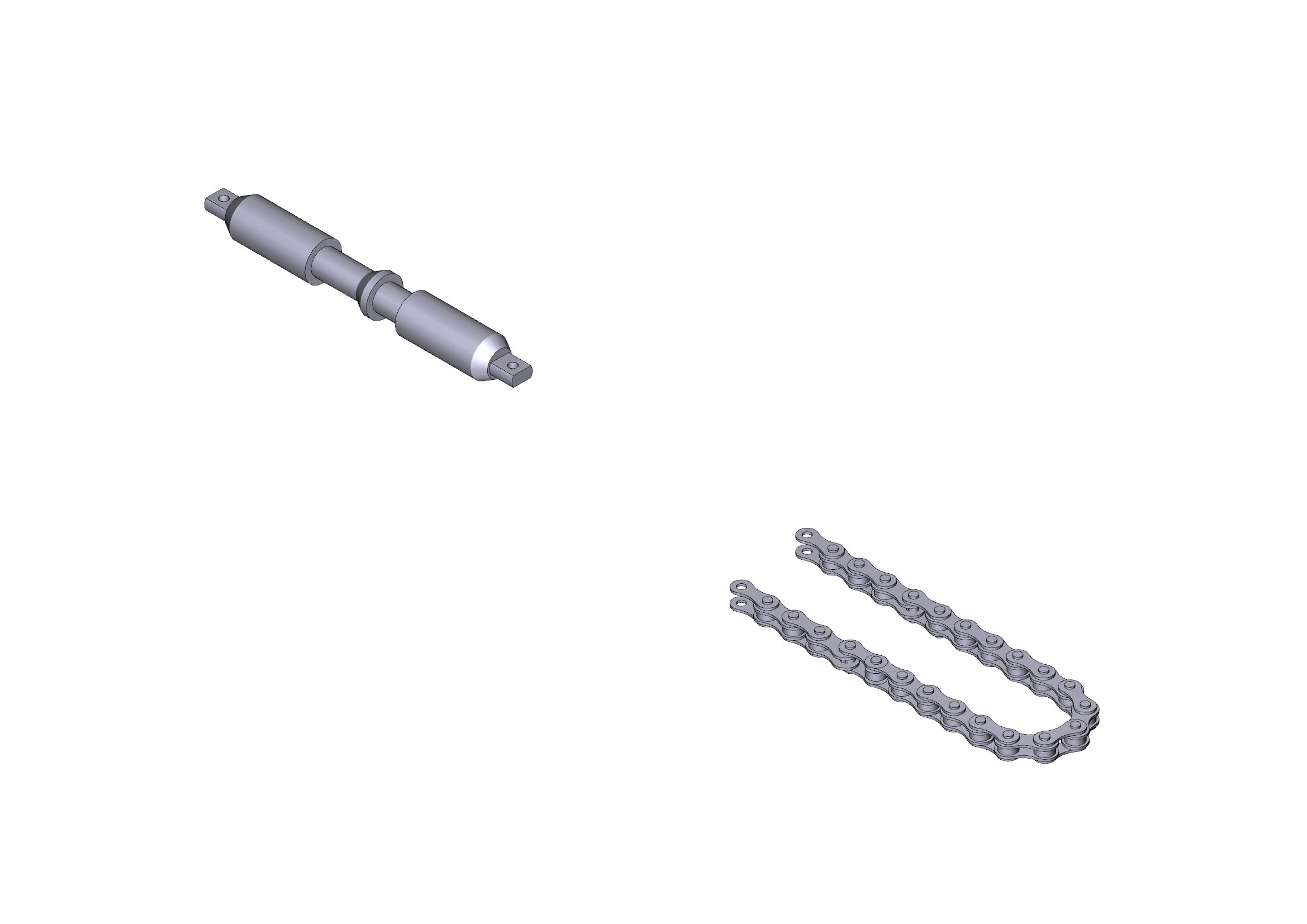 CAME - Catena trasmissione per guida V0679 V0684 L=5,7M. 119RIE116