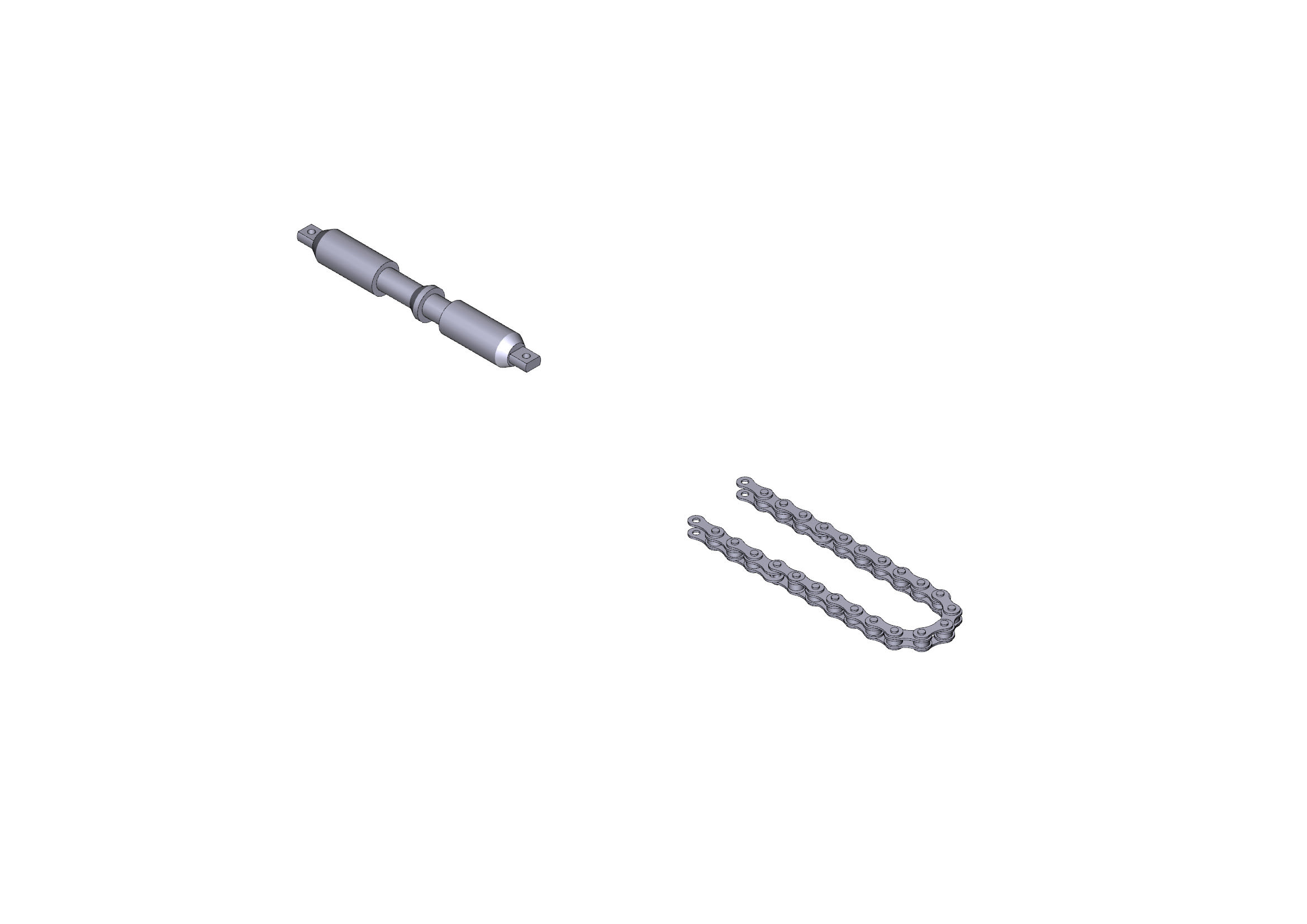 CAME - Catena di trasmissione V0682 lunghezza 6,7 metri. 119RIE117