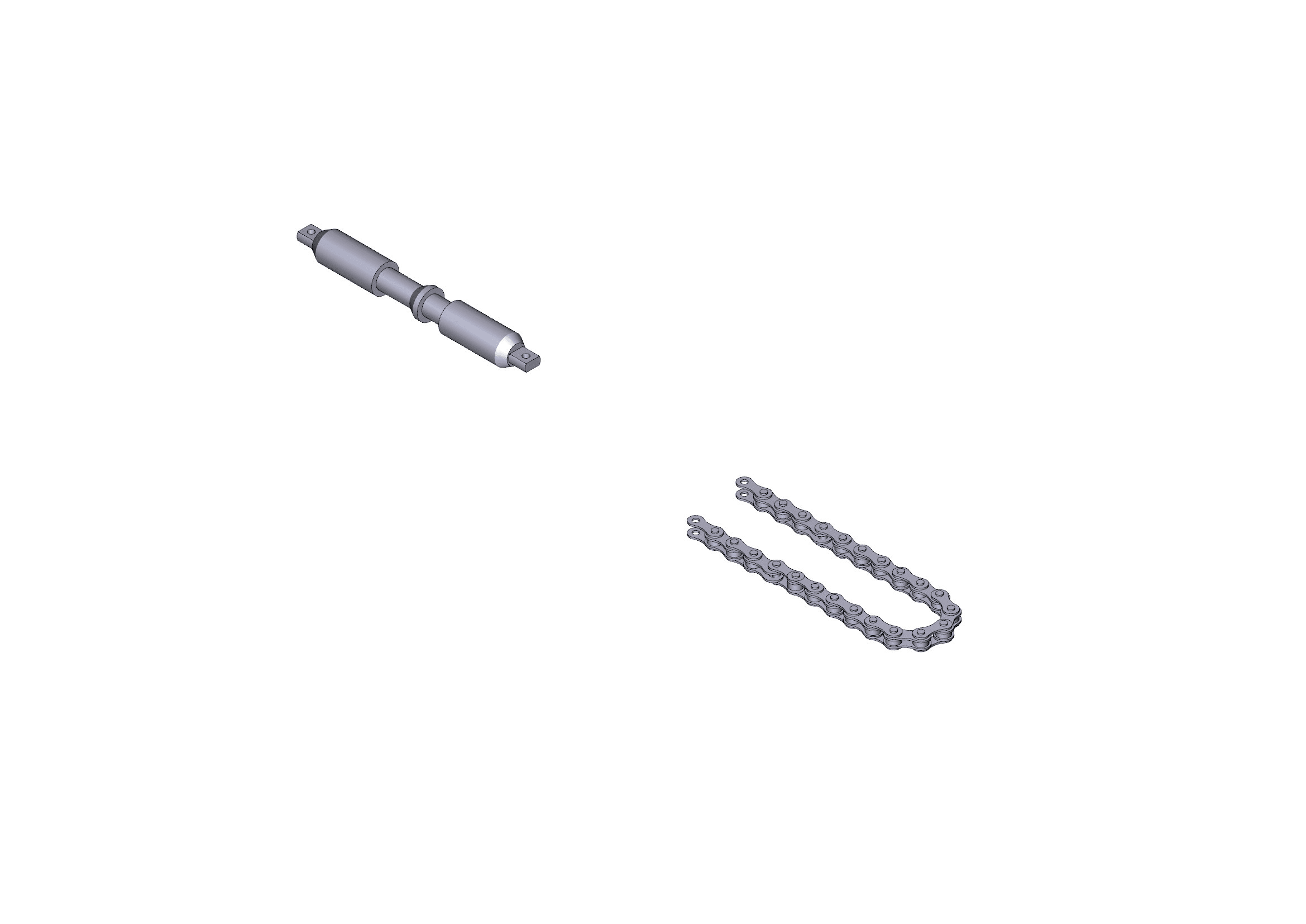 CAME - Catena di trasmissione V0682 lunghezza 6,7 metri.