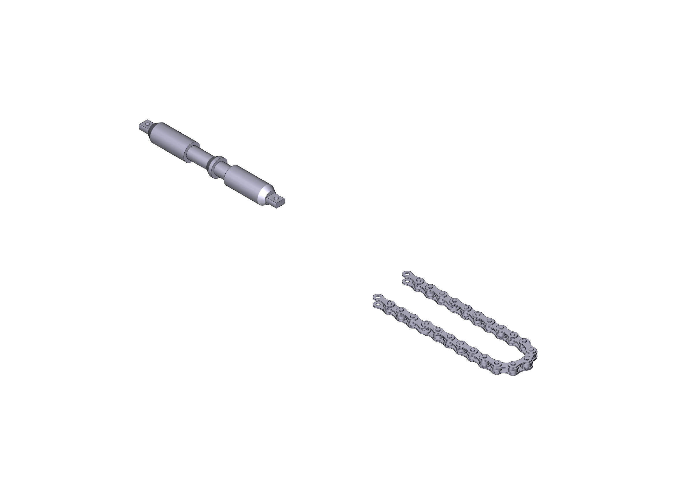 CAME - Catena di trasmissione per guida V0683 L=7,7M. 119RIE118