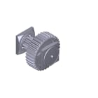 CAME - Gruppo prima riduzione G2081. 119RIG153