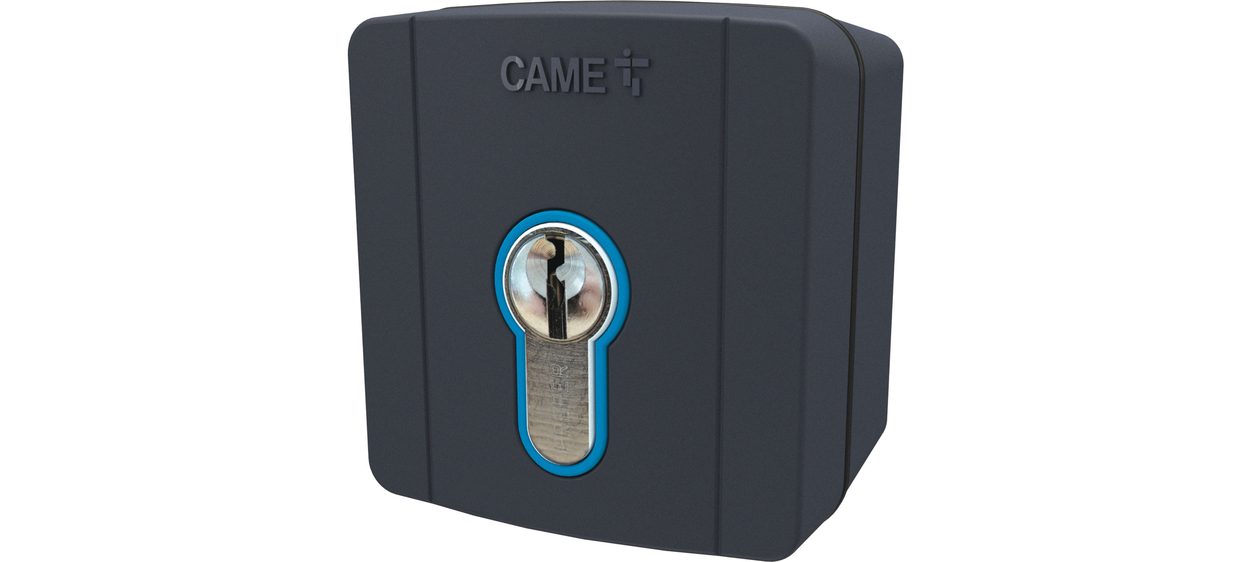 CAME - Selettore chiave esterno cilindro serratura DIN 230V grigio RAL7024 FIL CHIAVE. 806SL-0090