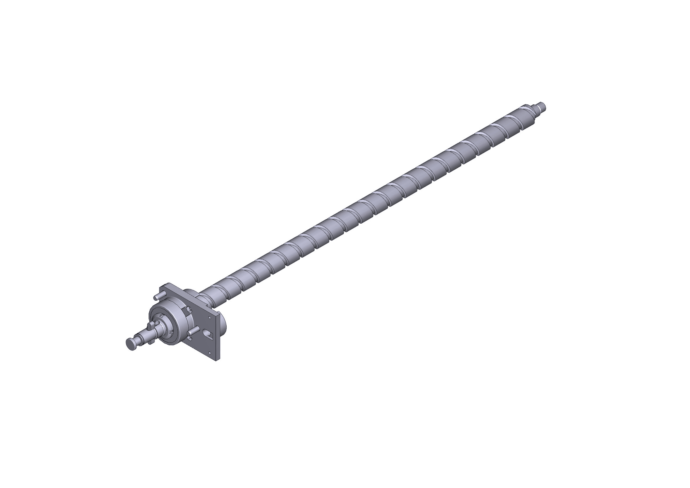 CAME - Vite senza fine per motoriduttore 230 V Krono 5.