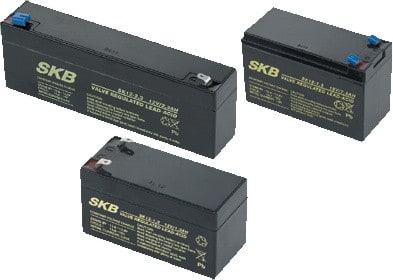 BPT - Batteria al piombo 12V 17Ah Sigillata.