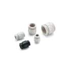 CEMBRE - Pressacavo in poliammide PA6, IP54, PG21, colore grigio RAL 7035.