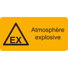 CEMBRE - ET.AVV.WST-LSY DIMEN.37X74 + TESTO FRANCESE 2453EX001-F