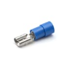 CEMBRE - INNESTO FEMMINA BLU 4,8X0,5