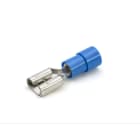 CEMBRE - INNESTO FEMMINA BLU 6,35X0,8