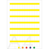 Miniatura Immagine principale 1