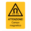 Miniatura Immagine principale 1