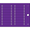 Miniatura Immagine principale 1