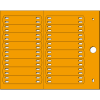 Miniatura Immagine principale 1