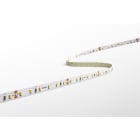 CENTURY - STRISCIA LED ACCENTO