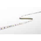CENTURY - STRISCIA LED ACCENTO
