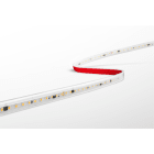 CENTURY - STRIP LED ACCENTO 230V