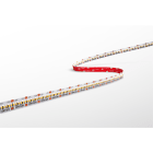 CENTURY - STRISCIA LED ACCENTO PRO 20W/M 300 LED/M
