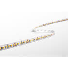 CENTURY - STRIP LED ACCENTO PRO