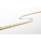 CENTURY - STRIP LED ACCENTO PRO