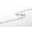 CENTURY - STRIP LED ACCENTO PRO