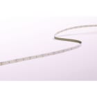 CENTURY - STRIP LED ACCENTO FOOD-MEAT