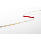 CENTURY - STRIP LED ACCENTO PRO