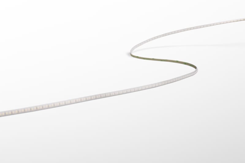 CENTURY - STRIP LED ACCENTO PRO FREE CUT