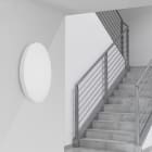 CENTURY - PLAFONIERA LED BLANCA SLIM DIAM. 315 MM