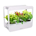 CENTURY - BIOGIARDINO LED