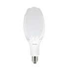 CENTURY - LAMP. PROFESS. LED LOTUS 70