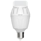 CENTURY - LAMP. PROFESS. LED MAXIMA