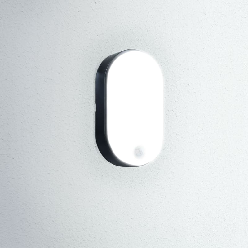 CENTURY - PLAF. OASI CCT OVALE NERA SENSOR