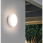 CENTURY - PLAFONIERA LED PRATIKA SENSOR-EMERG. 32