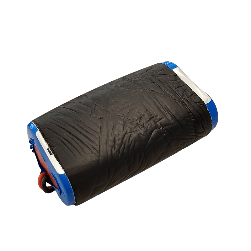 CENTURY - RICAMBIO BATTERIA ENERGY