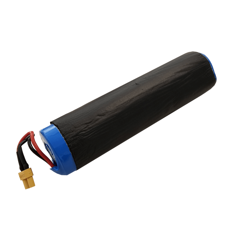CENTURY - RICAMBIO BATTERIA ENERGY