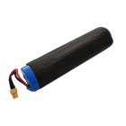 CENTURY - RICAMBIO BATTERIA ENERGY