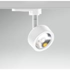 CENTURY - SPOTLIGHT LED REGIA MINI TONDO BIANCO
