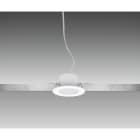 CENTURY - DOWNLIGHT LED SPOT 65