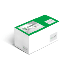 COMELIT - Kit domotico controllo 5 tapparelle 230VAC, sistema SimpleHome, moduli preconfigurati