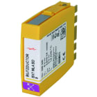 DEHN - Modulo di protezione per 2 coppie di fili BLITZDUCTOR XT con LifeCheck BXT ML4 BD 5.