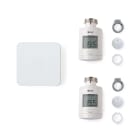 DELTA DORE - Pack con 2 testine termostatiche, 1 web server smart Tydom home, 2 adattatori Caleffi, 2 adattatori Giacomini/Baxi, 2 adattatori FAR/Danfoss RA