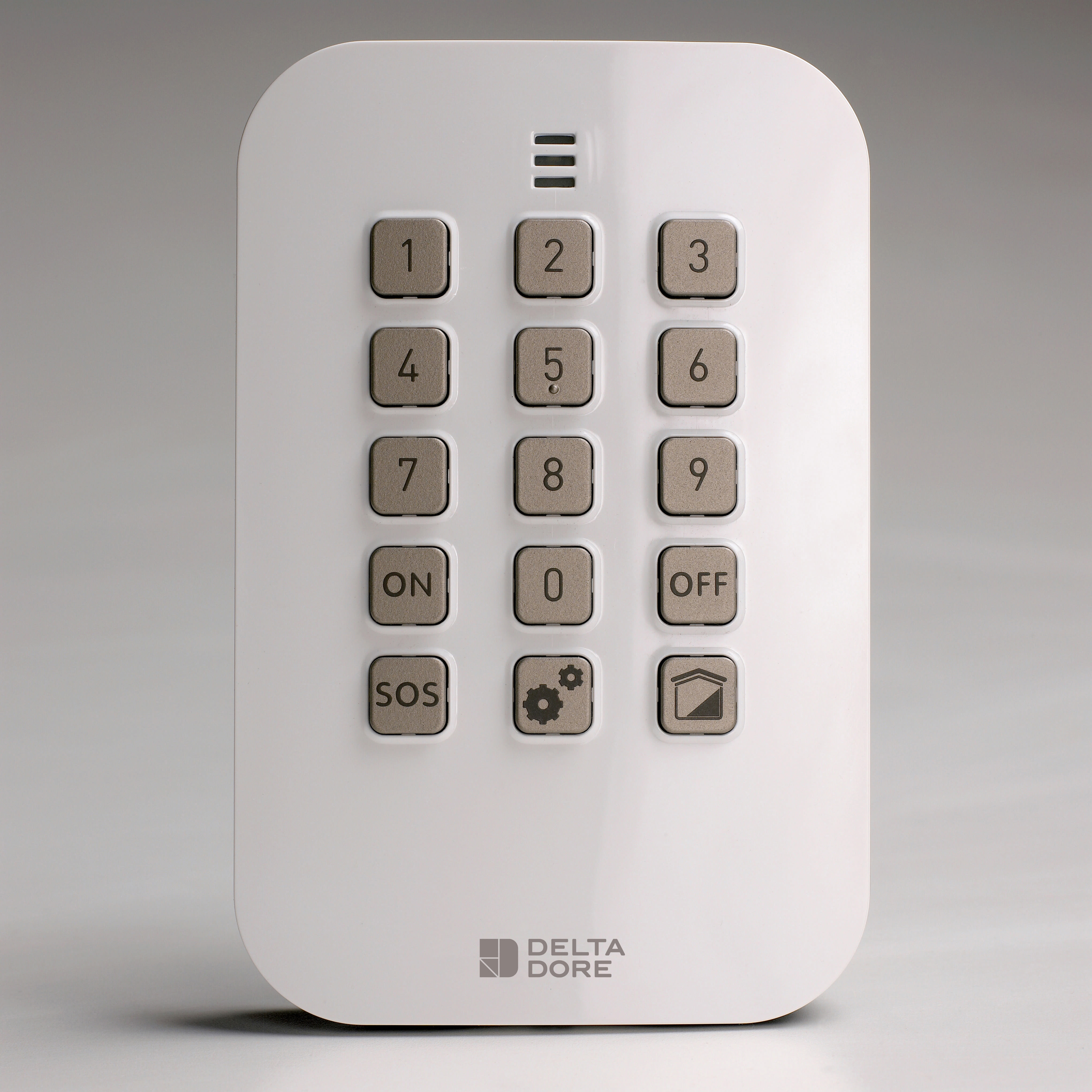DELTA DORE - Tastiera numerica semplice (pile fornite) CLS 8000 Tyxal+