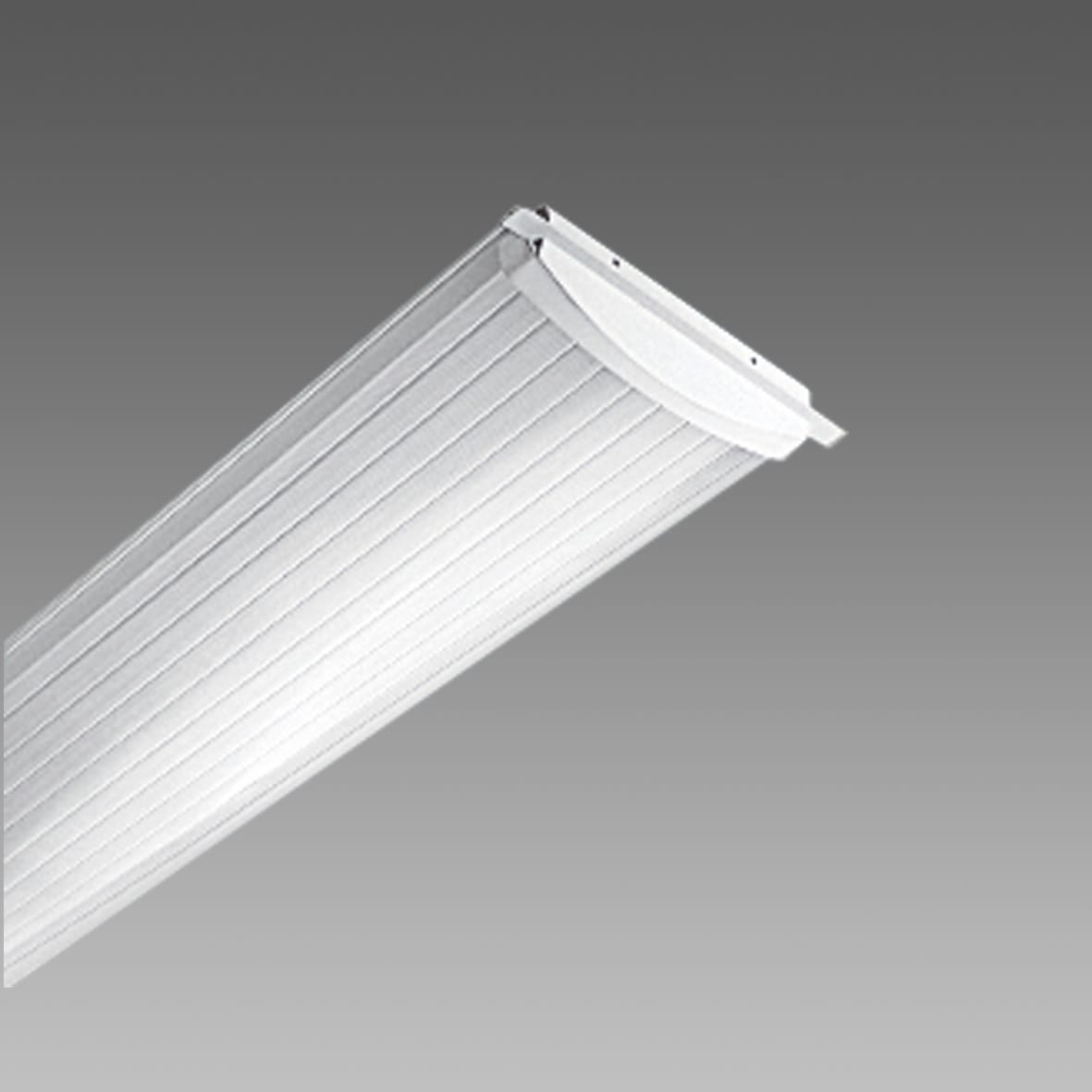 DISANO ILLUMINAZIONE - DIFFUSORE DIFFONDENTE 6419 1 2X58W BIA