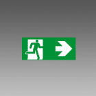DISANO ILLUMINAZIONE - ETICHETTA USCITA EM SX SAFETY 323 VERDE